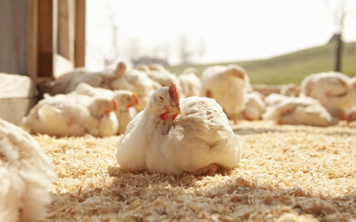 Teaser Kennzahlen Bund